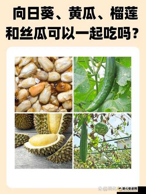 草莓丝瓜香蕉向日葵榴莲 18 岁污：探索青春的私密花园